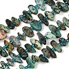 Natural African Turquoise(Jasper) Beads Strands G-K393-B01-2