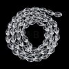 Transparent Glass Beads Strands EGLA-N013-T6mm-D01-2