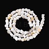 Natural Freshwater Shell Beads Strands SHEL-N037-04K-2