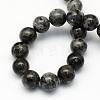 Natural Larvikite Round Beads Strands LS-G-S159-4mm-2
