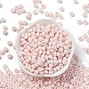 Baking Paint Glass Seed Beads SEED-C003-02F-2