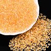 6/0 Inside Colours Transparent Glass Seed Beads X1-SEED-T007-07F-3