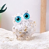 Resin Owl Display Decoration PW-WG50315-01-1