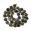 Natural Labradorite Beads Strands G-Z080-A33-10mm-3