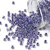 TOHO 6/0 Round Beads X-SEED-TR06-0265-1