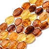 Gradient Color Natural Amber Beads Strands G-F803-E01-01-2