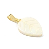 Natural Freshwater Shell Carved Pendants PALLOY-JF05288-01-2
