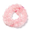 Natural Rose Quartz Beads Strands G-G146-A08-01-3