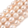 Natural Cultured Freshwater Pearl Beads Strands PEAR-P062-10A-2