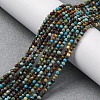 Natural Turquoise Beads Strands G-G195-A01-01-1