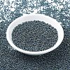 MIYUKI Round Rocailles Beads SEED-G007-RR0456-2
