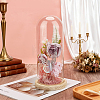 Arch Glass Dome Cover AJEW-WH0596-866E-02-4
