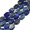 Natural Lapis Lazuli Beads Strands G-K245-J24-01-1