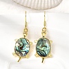 Brass Natural Paua Shell Dangle Earrings EJEW-M060-19A-G-1