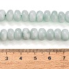 Natural Glass Beads Strands GG-CBA007A-A02-B02-5