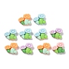 Opaque Resin Cabochons RESI-I068-01A-02-2