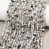 Natural Rainbow Moonstone Beads Strands G-B175-D24-3mm-1