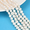 Natural Cultured Freshwater Pearl Beads Strands PEAR-P064-20C-02A-01-1