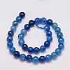 Natural Agate Bead Strands G-G882-10mm-C02-4-2
