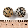 Natural Dalmatian Jasper No Hole Sphere Beads G-K353-04D-16-3