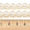 Glass Pearl Beads Strands HY-G002-01D-02-5