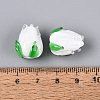 Handmade Lampwork Beads LAMP-N042-02-4