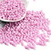 Baking Paint Glass Seed Beads SEED-A032-02S-1