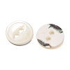Cat Eye Style Natural Shell Buttons SH-CBAA69B-01G-2