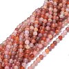 Natural Red Botswana Agate Beads Strands G-O201A-03A-1