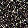 MIYUKI Delica Beads SEED-MY11-DB2205-3