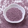 MIYUKI Delica Beads SEED-X0054-DB0253-2