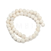 Natural White Shell Beads Strands BSHE-U001-01B-2