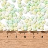 6/0 Glass Seed Beads SEED-M012-01A-04-4