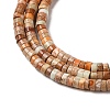 Natural Imperial Jasper Beads Strands G-Q171-A01-01F-5
