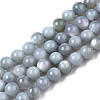 Natural Freshwater Shell Beads Strands BSHE-T009A-01K-1
