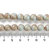 Natural Rainbow Alashan Agate Beads Strands G-NH0022-A07-02-5