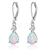 Brass Cubic Zirconia Dangle Earrings FS-WG32116-05-1
