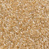 MIYUKI Delica Beads SEED-J020-DB0099-3