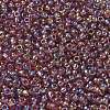 TOHO 6/0 Round Beads X-SEED-TR06-0166B-3