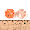 Transparent Acrylic Beads TACR-T028-40H-4