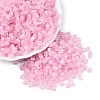 FGB Grade A Frosted Glass Seed Beads SEED-Q040-04A-07-2