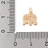 Brass Charms KK-N256-26G-3