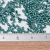 MIYUKI Delica Beads X-SEED-J020-DB1769-4