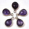 Natural Amethyst Charms X-G-N326-50B-1