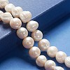 Natural Cultured Freshwater Pearl Beads Strands PEAR-L001-A-07-01-5