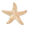 Alloy Pendants AL-CBA3571-01C-LG-1