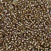 MIYUKI Delica Beads SEED-MY11-DB2396-3