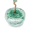 Natural Green Aventurine Chip Pachira Glabra Display Decorations DJEW-K025-04B-2