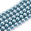Shell Pearl Beads Strands BSHE-K015-6mm-02-1