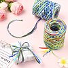 2 Rolls 2 Styles Raffia Ribbon OCOR-CJ0004-09-6